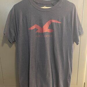 Hollister Logo Tee Men's Medium